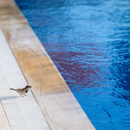 N Cesme Hotel Dalyankoy (Aegean)