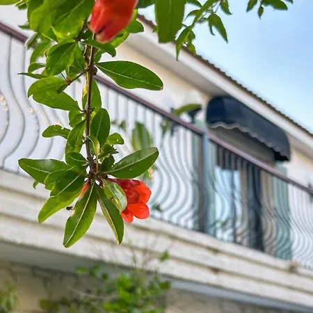 N Cesme * Dalyankoy (Aegean)