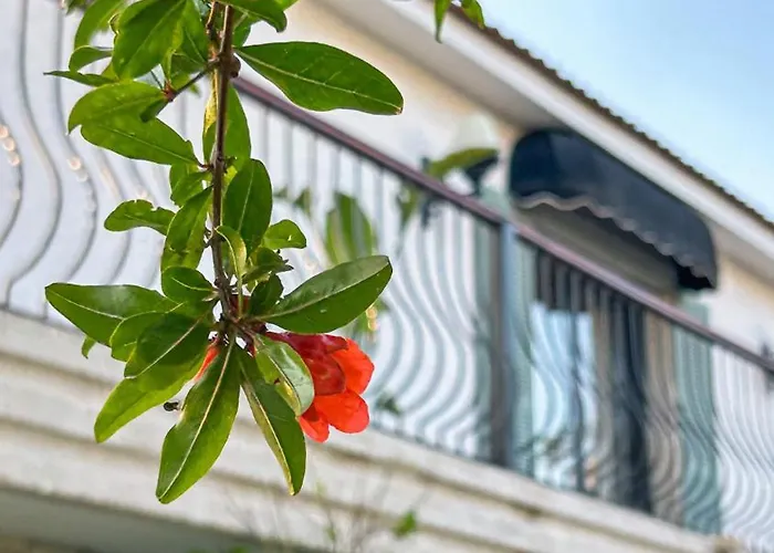 N Cesme * Dalyankoy (Aegean)