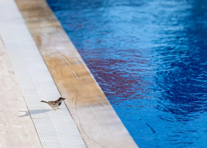 N Cesme Отель Dalyankoy (Aegean)